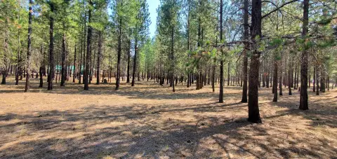 La Pine Residential Lot