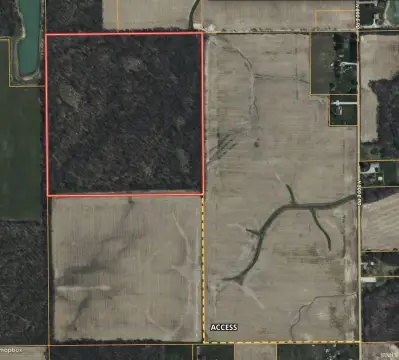 Wooded Hunting Land With Trails