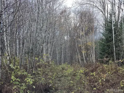 Wooded 40-Acre Recreational Land