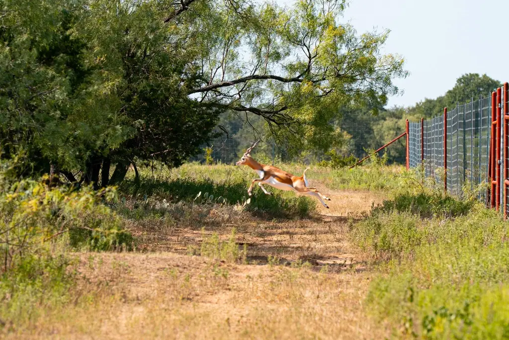 Picture 10