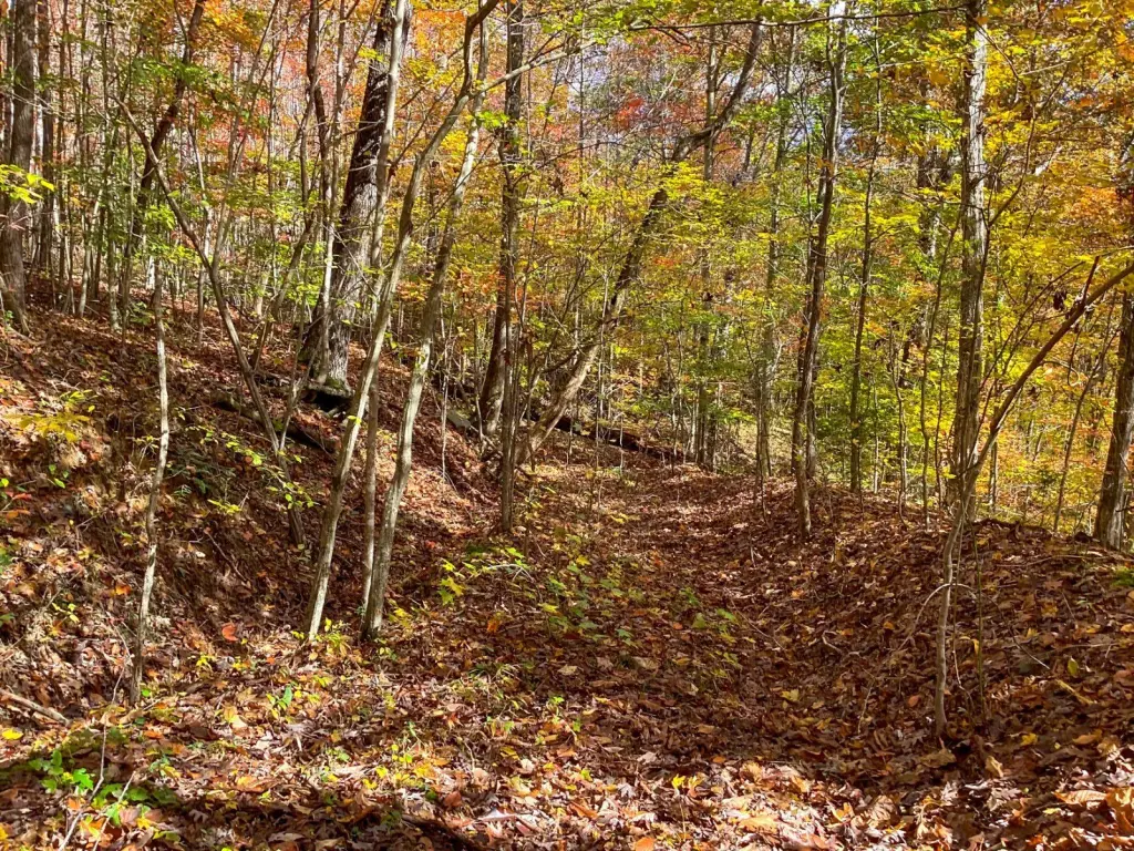 Picture 31