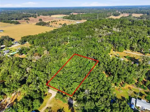 Williston, FL - Large Affordable Land
