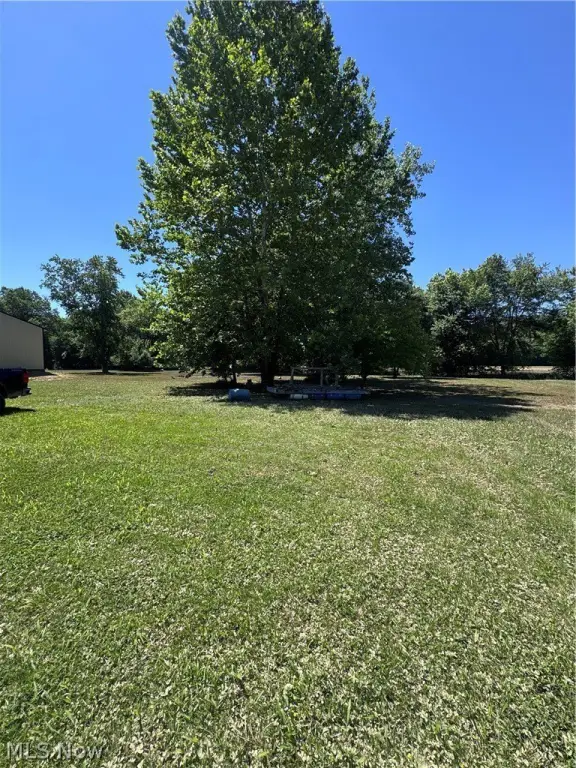 Picture 5