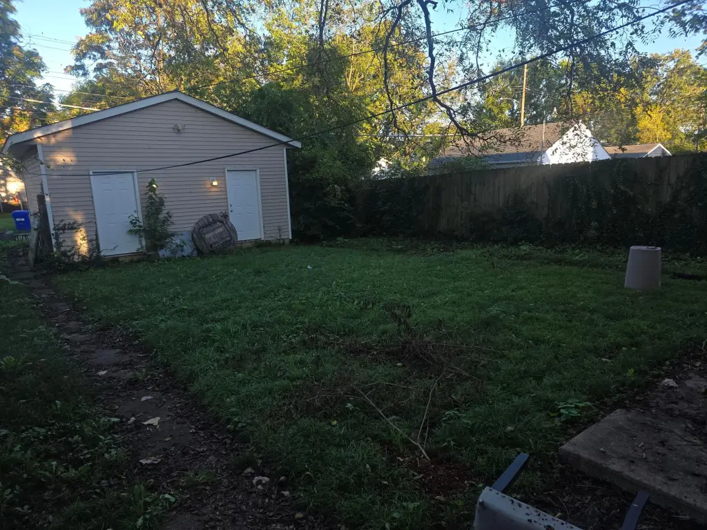 Picture 4