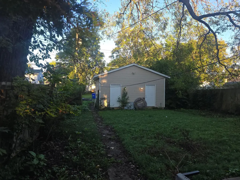 Picture 5