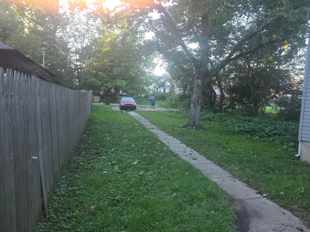 Picture 5