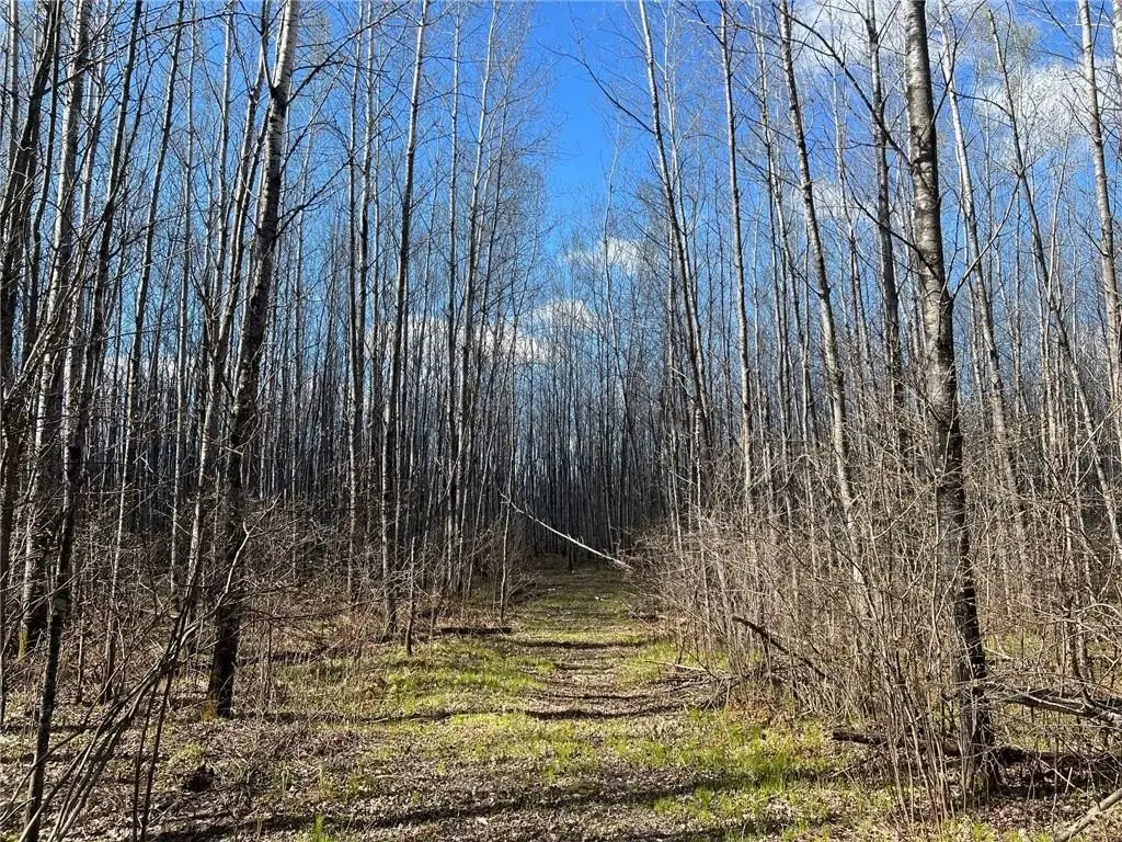 Picture 19