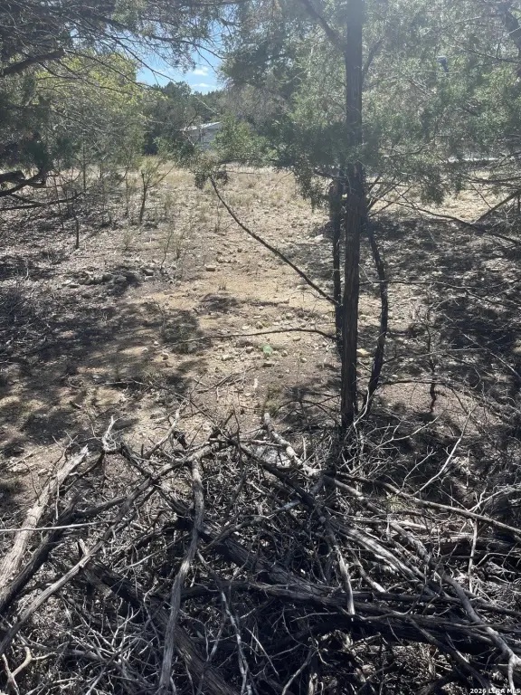 Picture 14