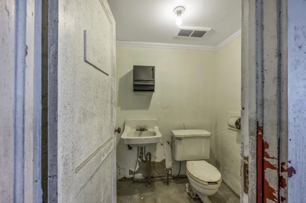 Picture 15