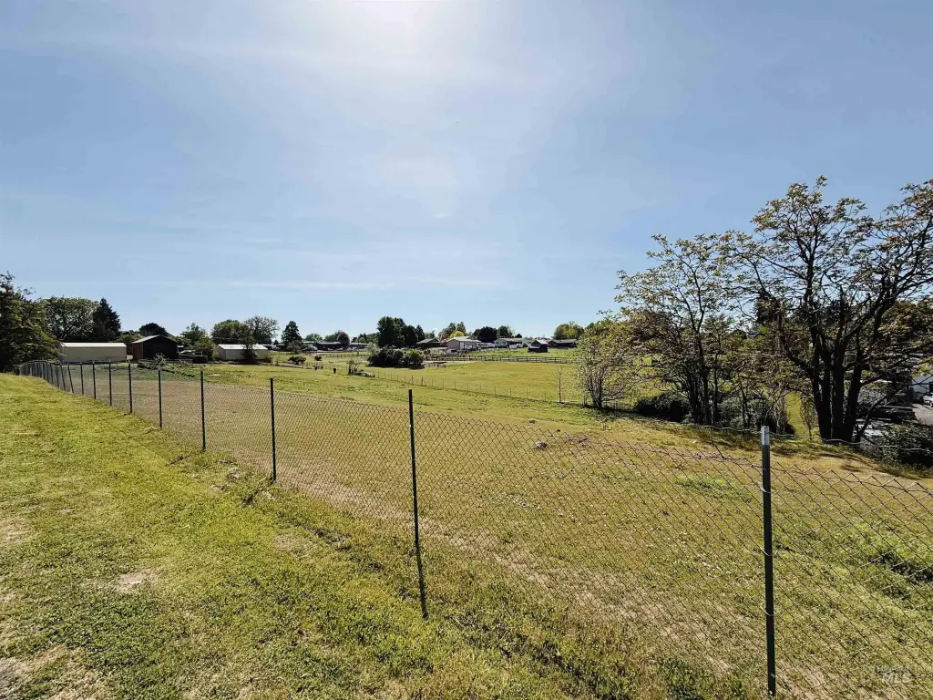 Picture 24
