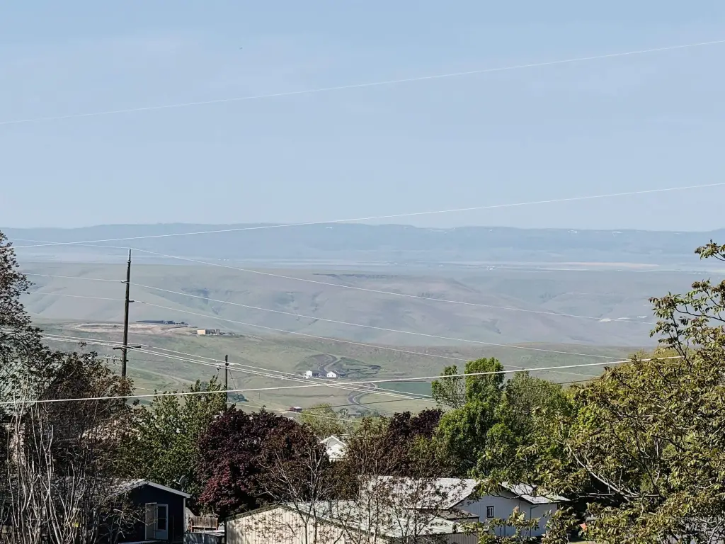 Picture 19