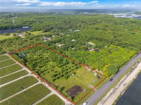 Avocado Farm