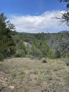 Canon City Vacant Land Opportunity