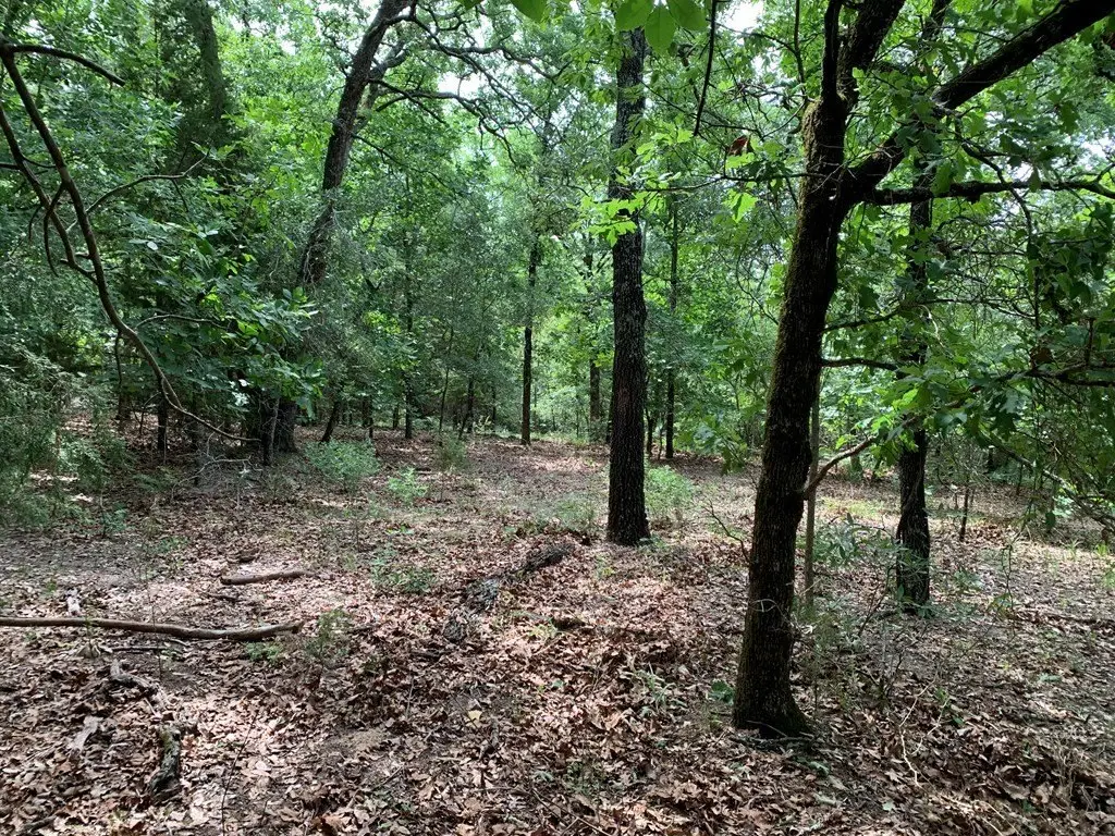 Picture 14