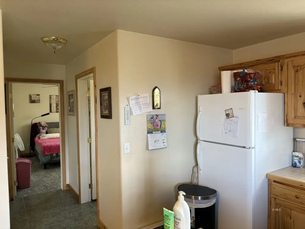 Picture 14