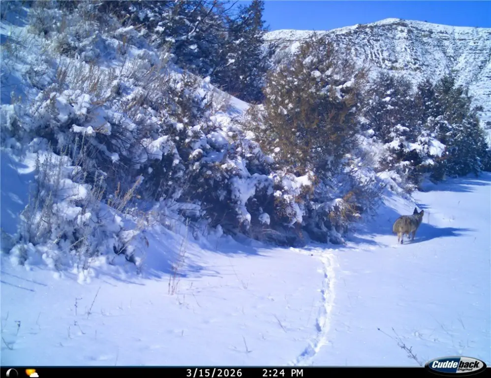 Picture 26