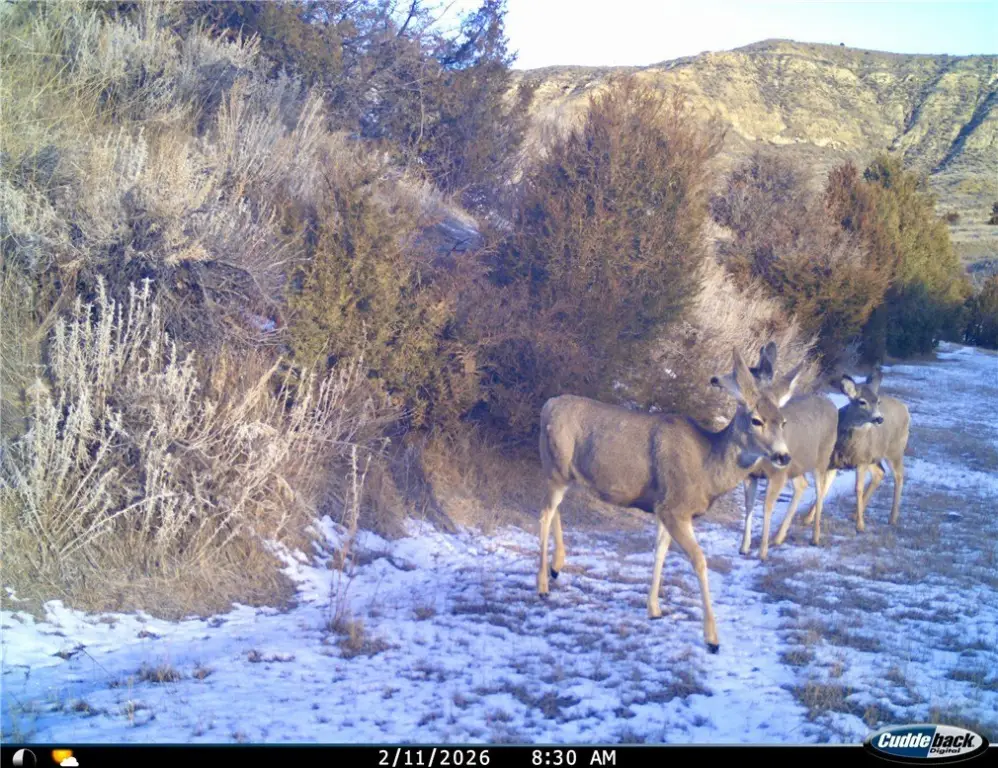 Picture 22
