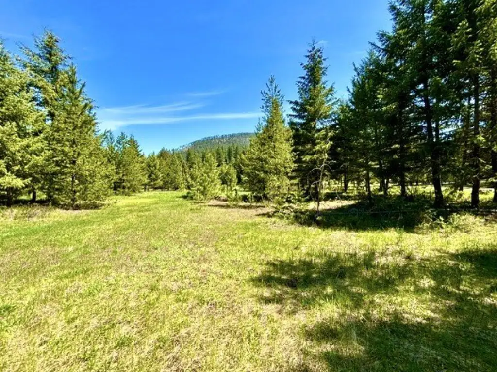 Picture 7