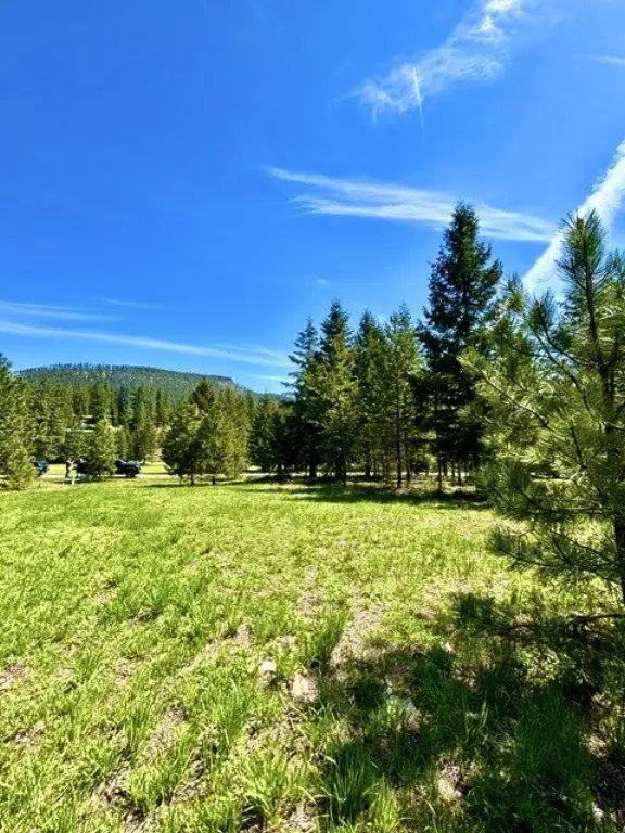 Picture 33