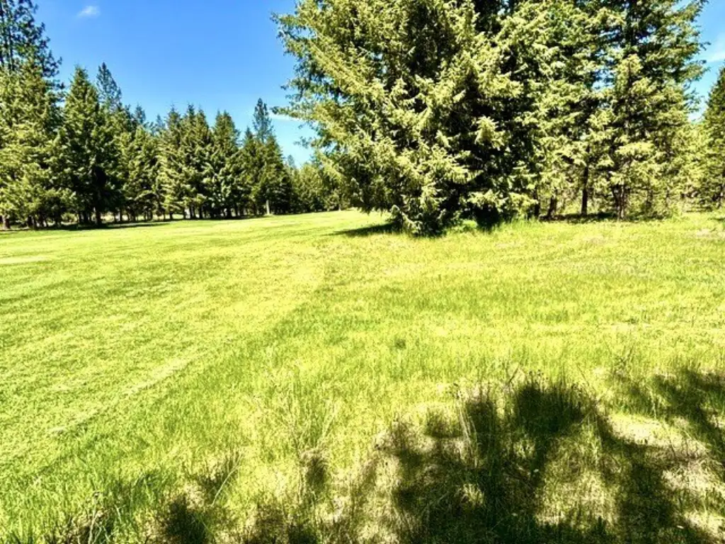 Picture 23