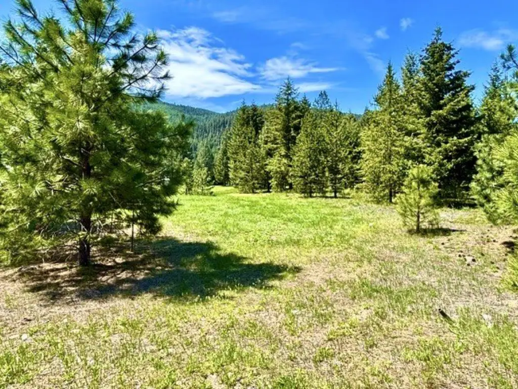 Picture 18