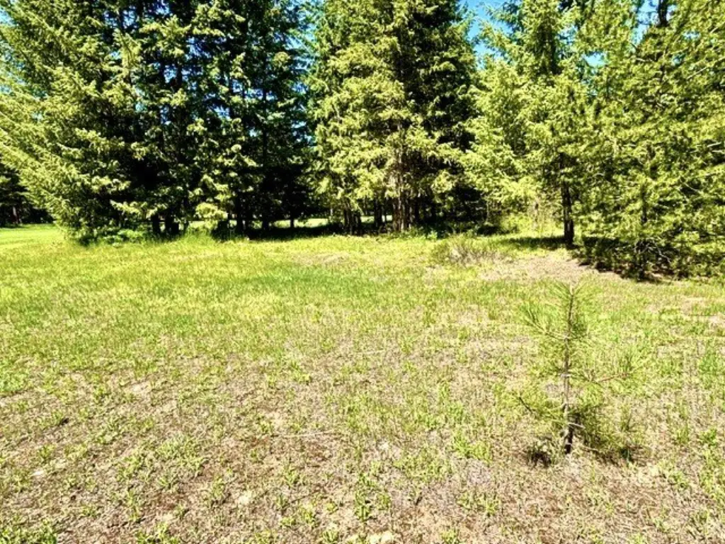 Picture 22