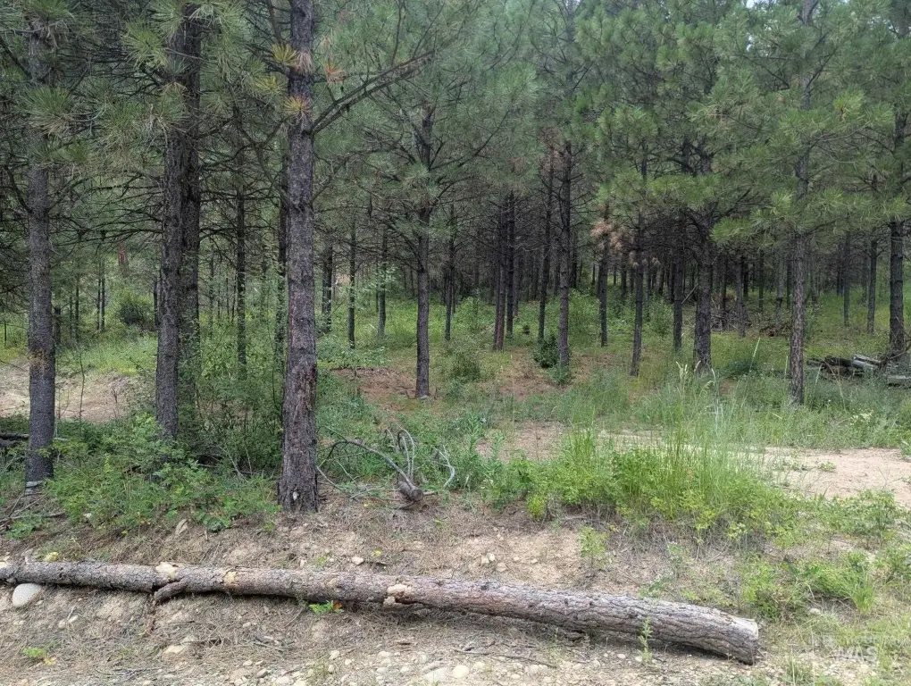 Picture 2