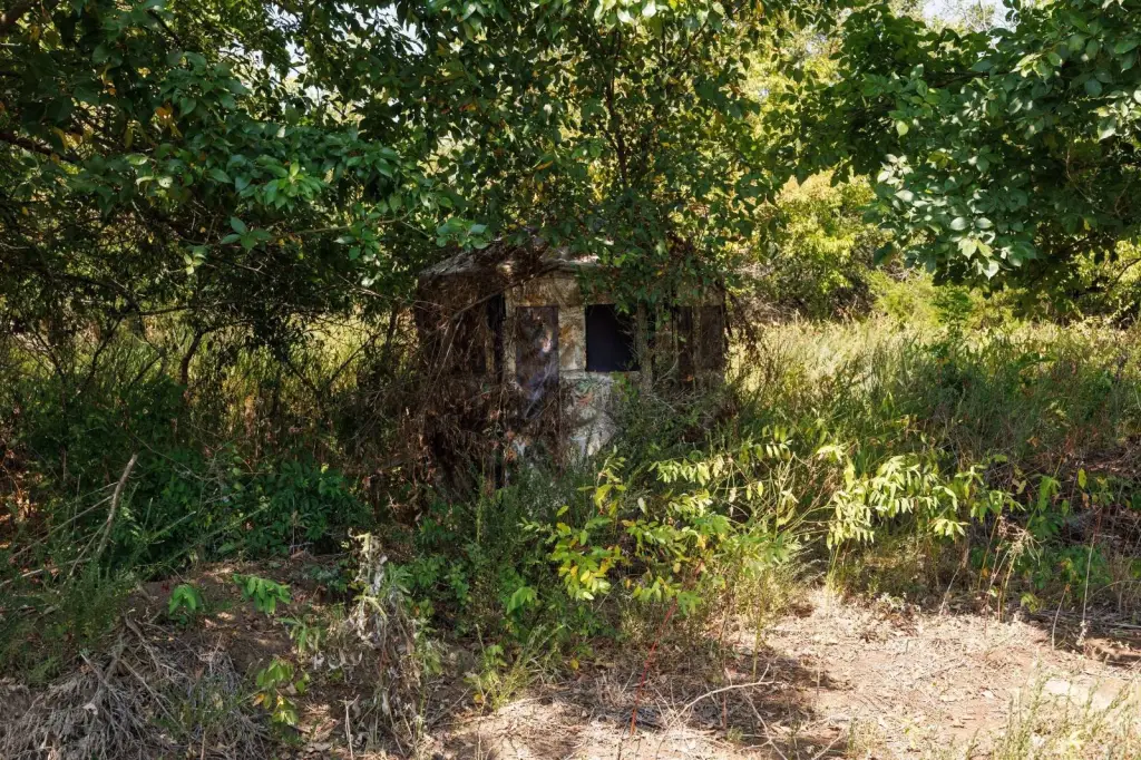 Picture 19