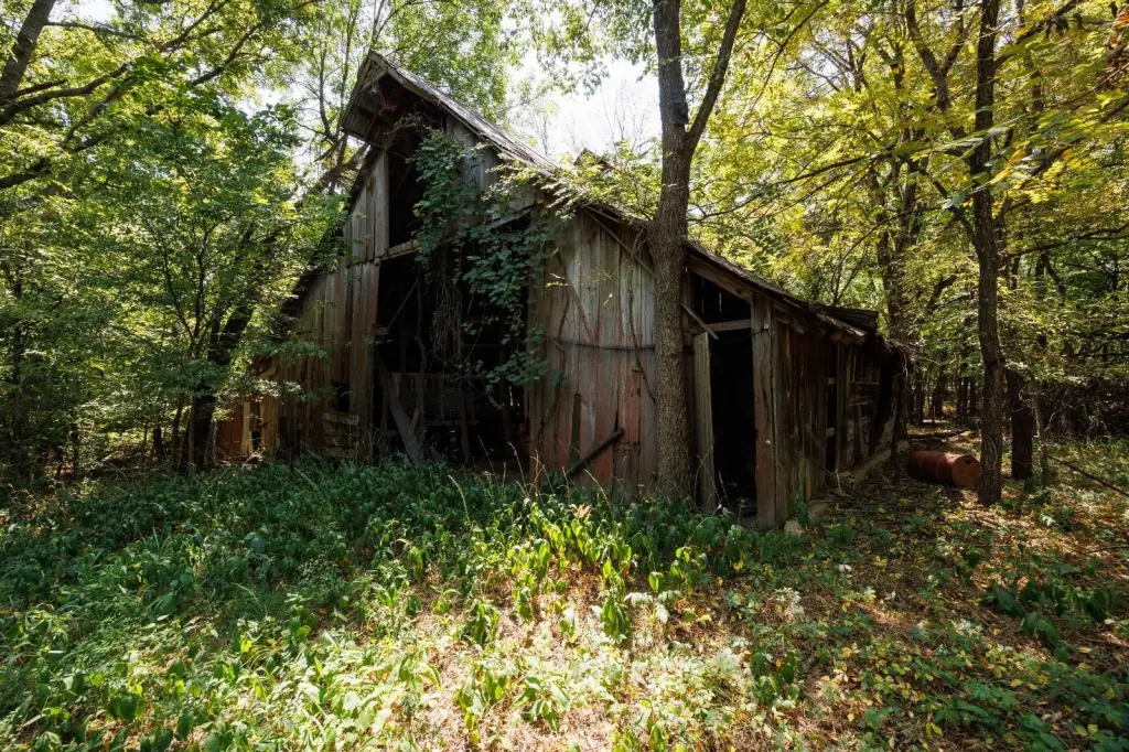 Picture 15