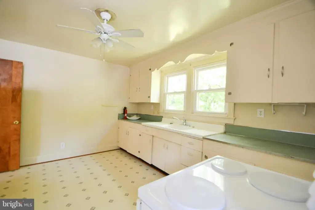 Picture 15