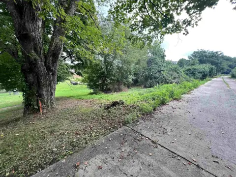Residential Land in Taylor County