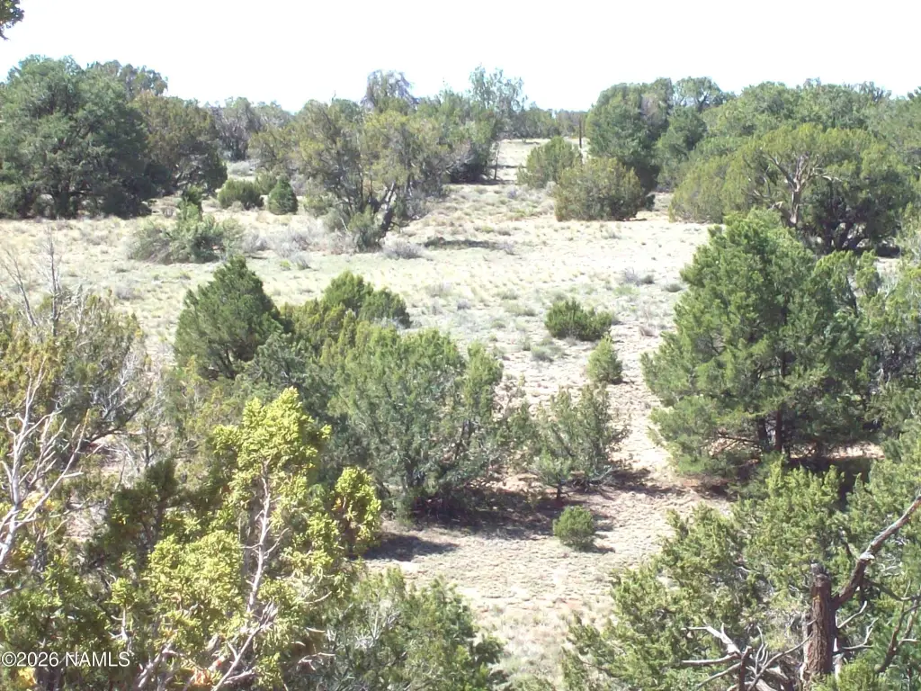 Picture 8