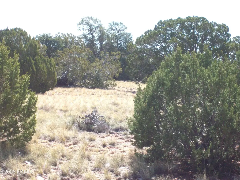 Picture 11
