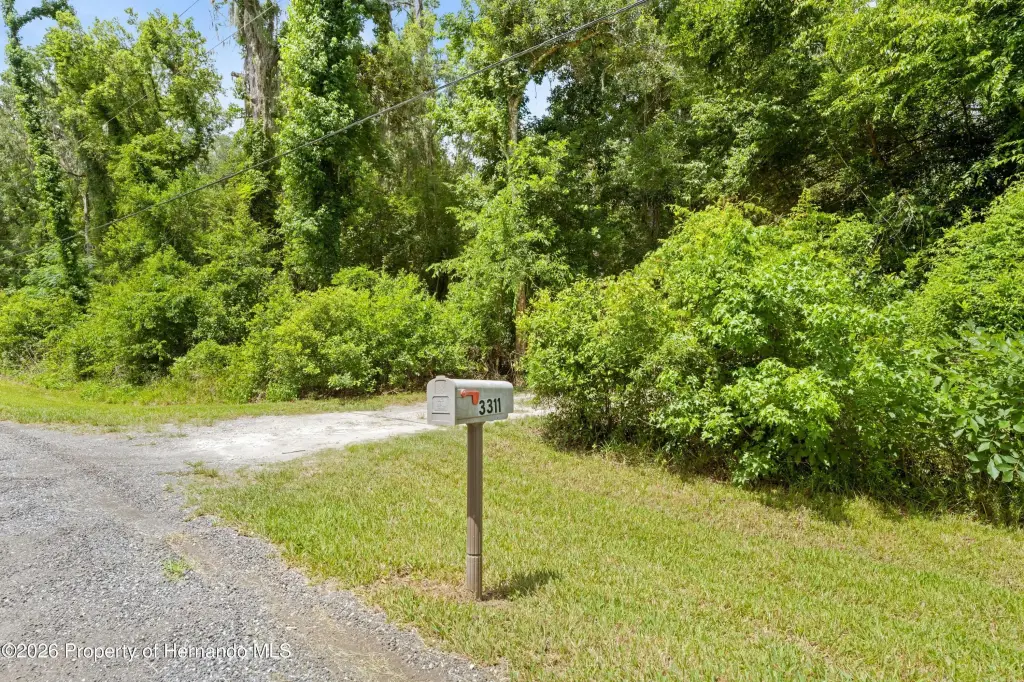 Picture 17