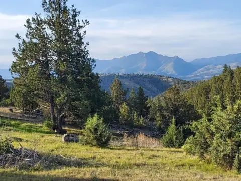 615+ Acres with Mountain Views