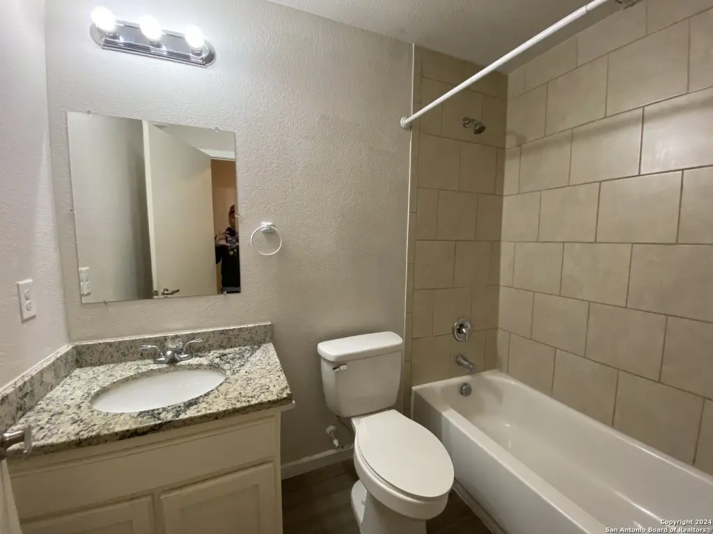 Picture 15