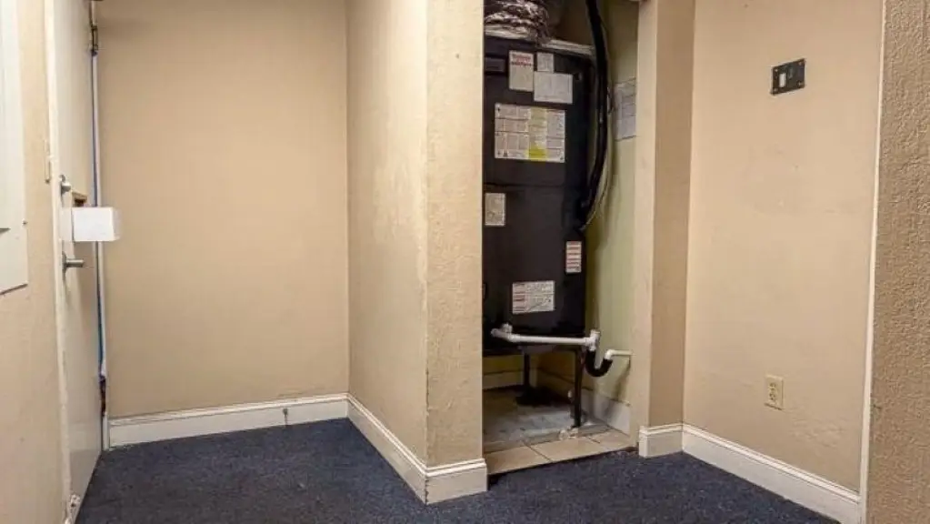 Picture 24