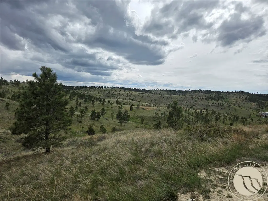 Picture 18