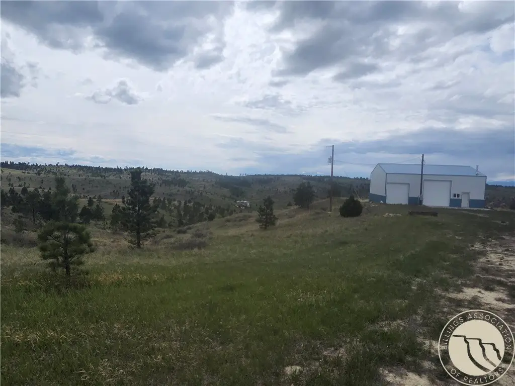 Picture 25