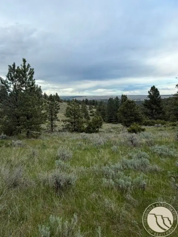 Picture 22