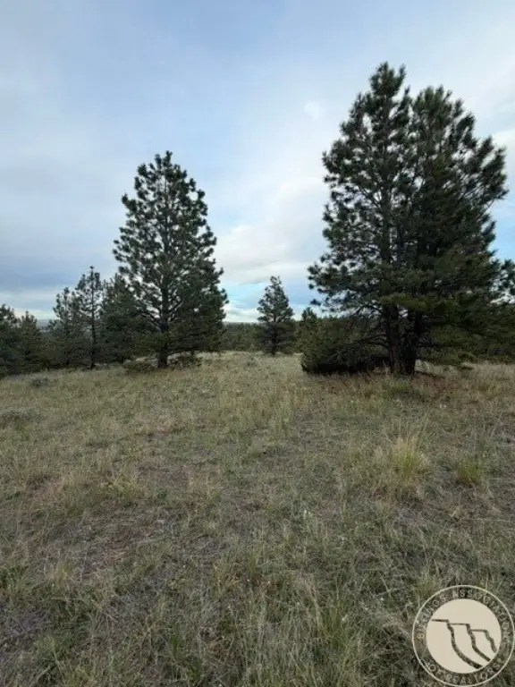 Picture 29
