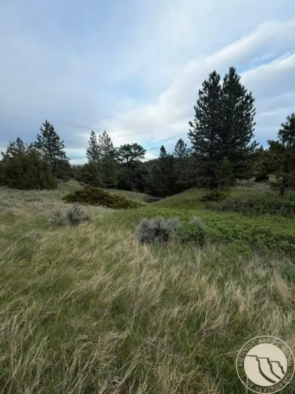 Picture 27