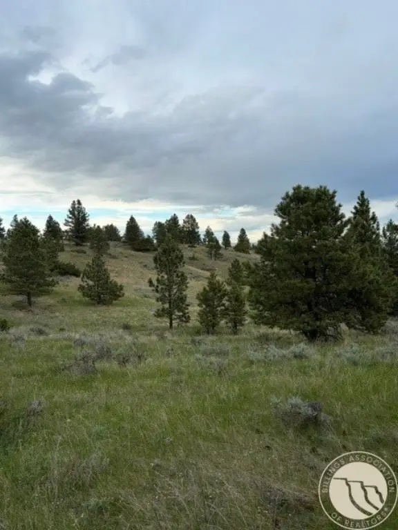 Picture 24
