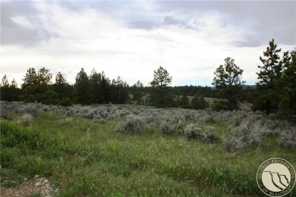 Picture 25