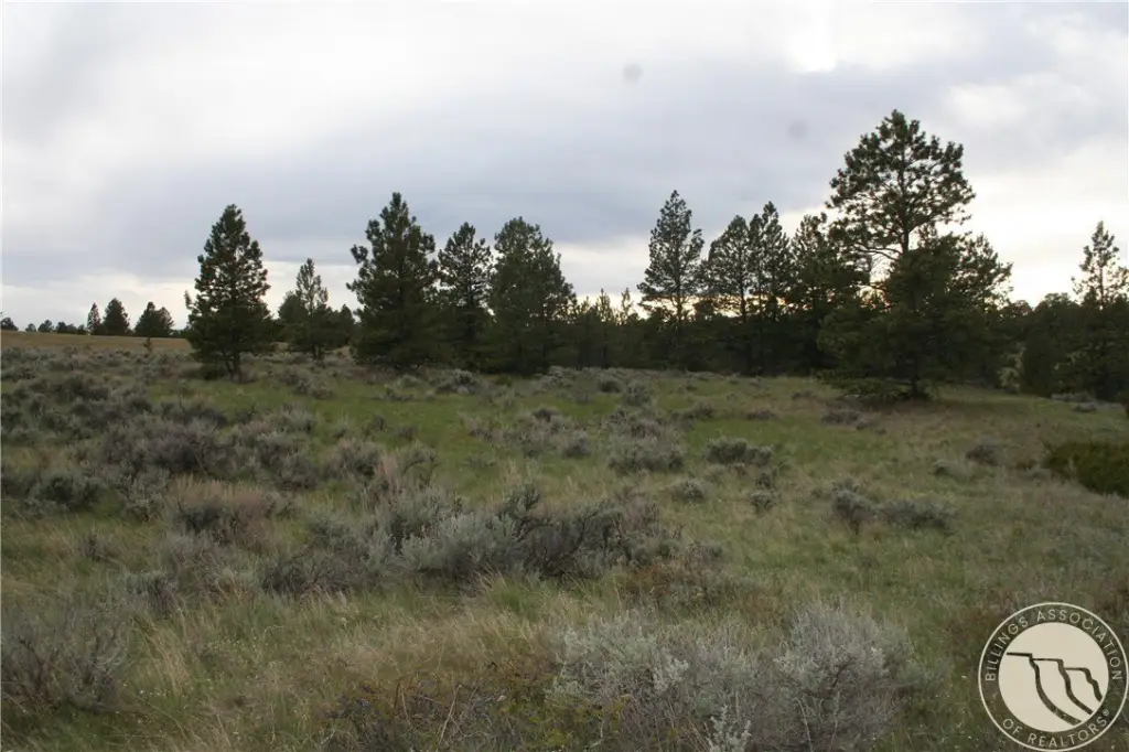 Picture 24