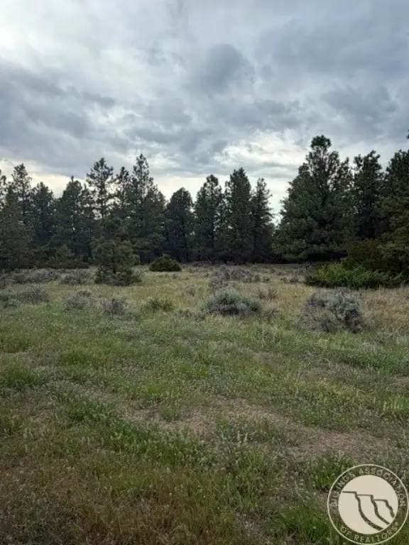Picture 20