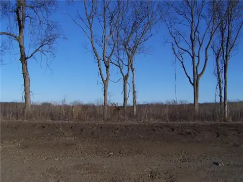 Oak Grove Land For Sale