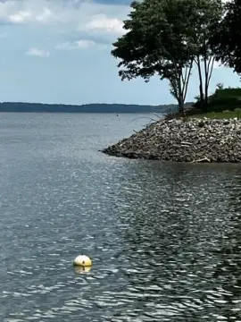 Waterfront Lot on Buggs Island