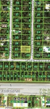Residential Lot in Port Charlotte