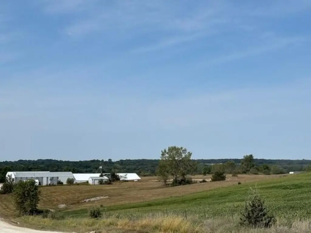 Picture 22